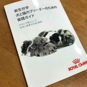 ナルホド、そういうことか。