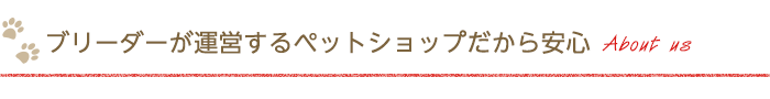 ブリーダーが運営するペットショップだから安心