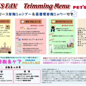 トリミングメニュー(各コース案内)